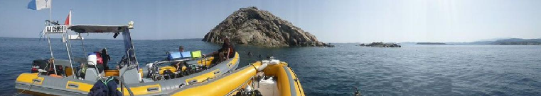Pleins feux sur PORTO-VECCHIO Plongée
