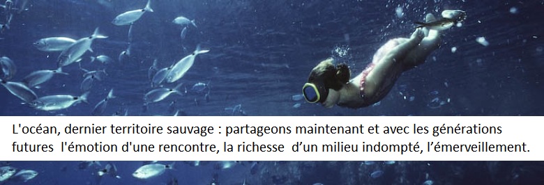 Un texte poignant pour une réflexion sur le droit de tuer : L’amer