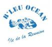 Logo Bleu Océan au