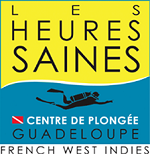 Logo Les Heures Saines