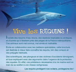 « Vive les requins ! » La nouvelle brochure à dévorer