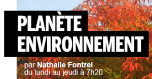 nathalie frontrel