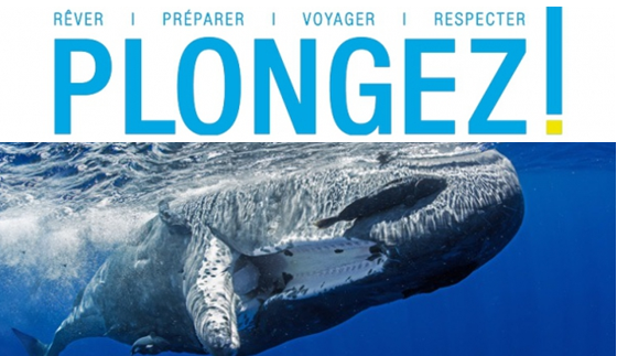 plongez