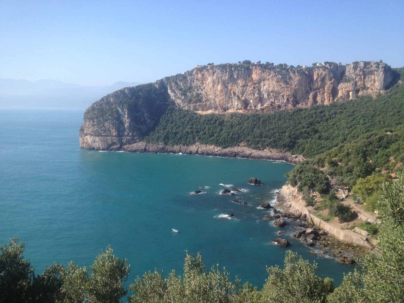 Programme Requins de Méditerranée : le relai du réseau MedPAN