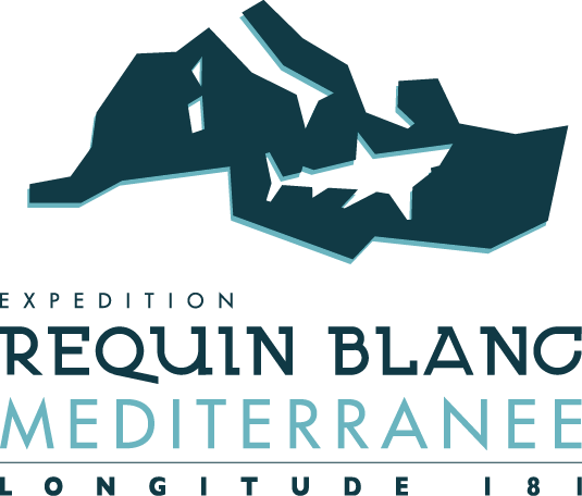 Requin Blanc – Méditerranée : dernières avancées 2016 !