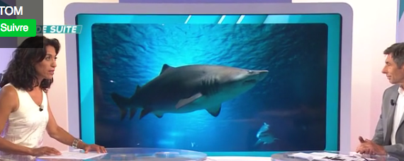grands temoins doutre mer R