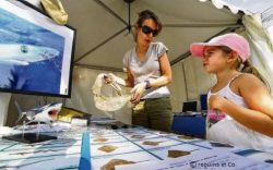 fete calanques septembre