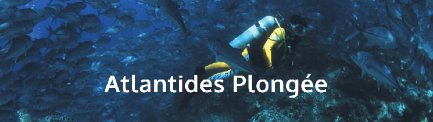 Atlantides Plongée rejoint Longitude 181 !
