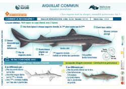 FicheRequins Mediterranee  Longitude dpi