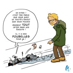 image tout à légout