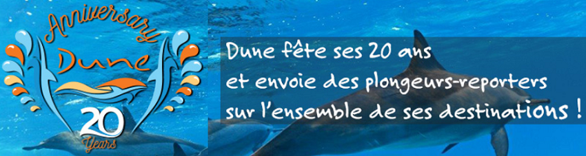 DUNE, ambassadeur historique LONGITUDE 181, fête ses 20 ans !