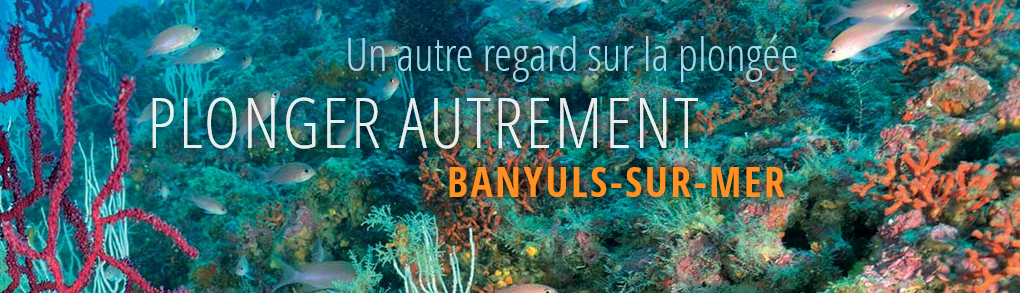 Plonger autrement ,…. à découvrir maintenant en vidéo !