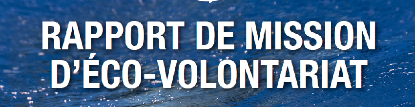 Campagne Cachalots 2017 : le rapport d’activités est disponible !