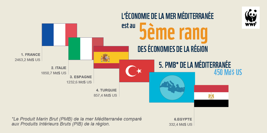 exploitation non durable mais aussi de l’accélération de la consommation de ces ressources