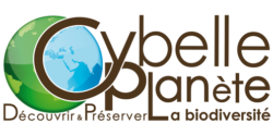 logo cybelle planete