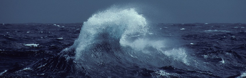 Qui agit pour l’océan, patrimoine commun de l’humanité ?