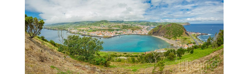 Séjour plongée “Bio et Photo sous-marines” à Faial, aux Açores pour DORIS