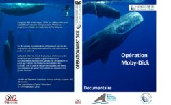Jaquette DVD Opération Moby dick
