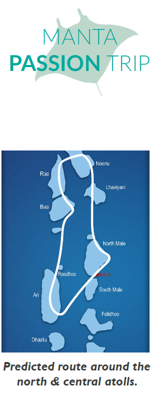manta trust expeditions