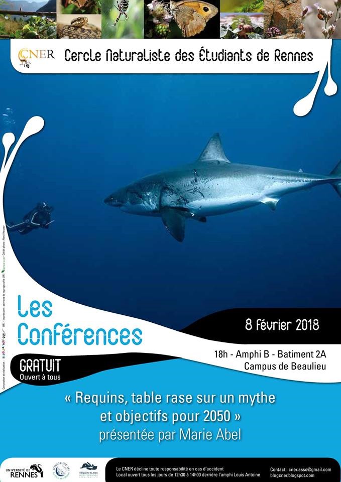 Les Requins, au-delà du mythe, une conférence de Marie Abel, disponible en vidéo