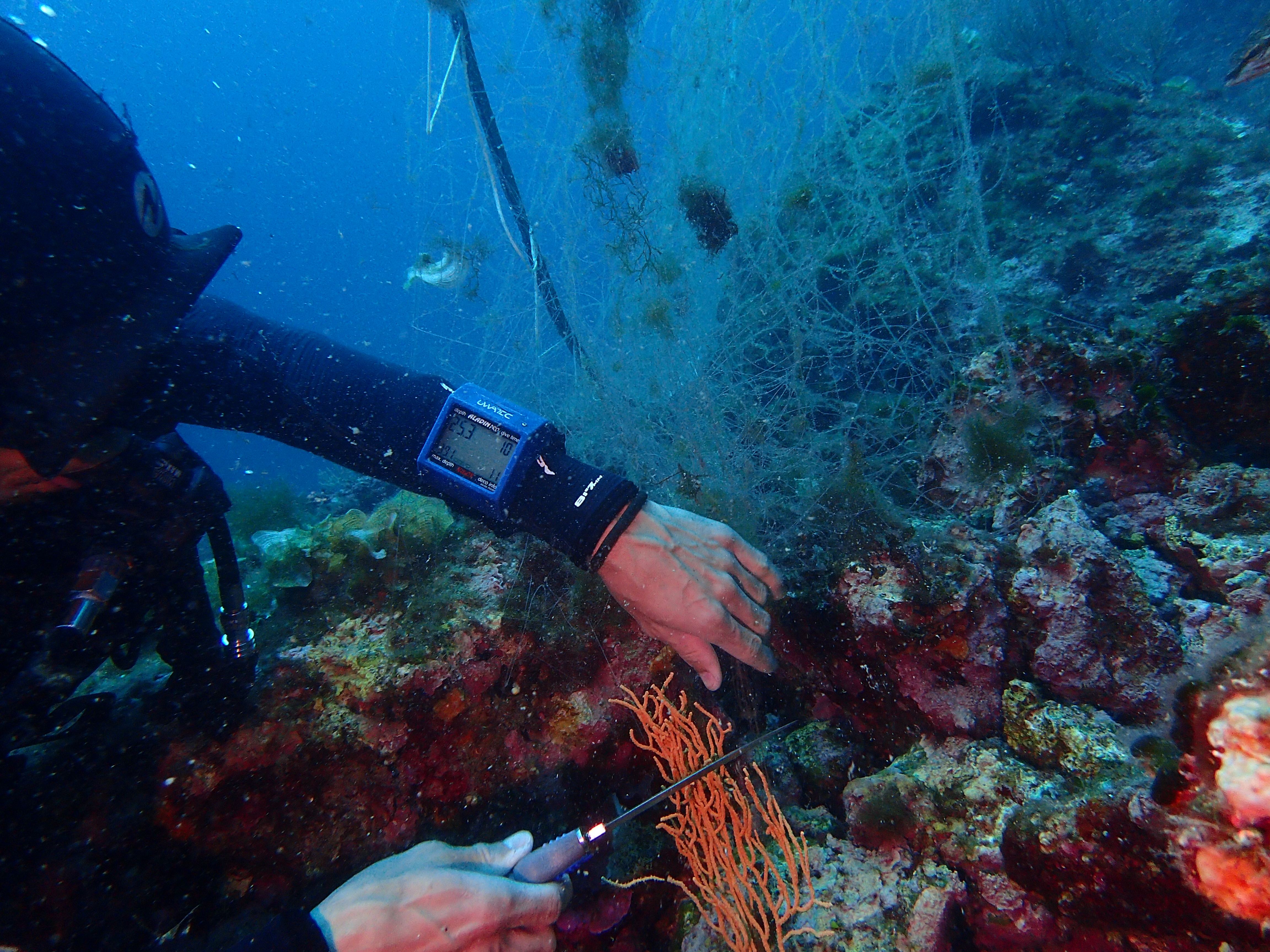 Pièges en haute mer