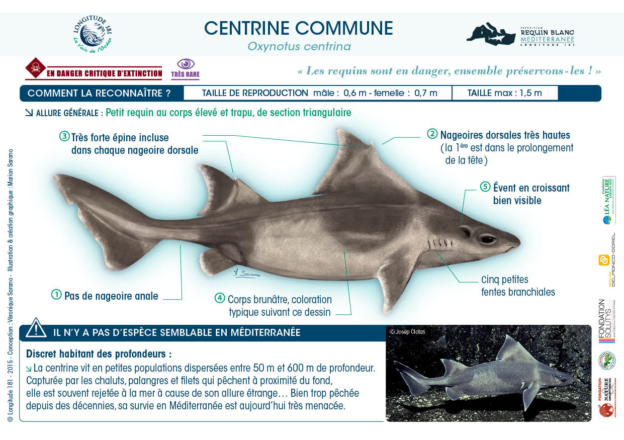 centrinecommune