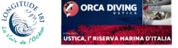 bandeau orca ustica