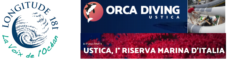 Des nouvelles de l’antenne L181 en Sicile : récolte exemplaire avec ORCA DIVING !