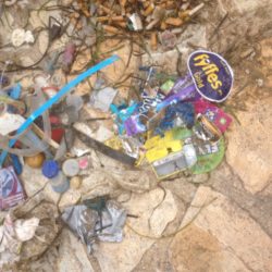 Déchets ramassés en mer