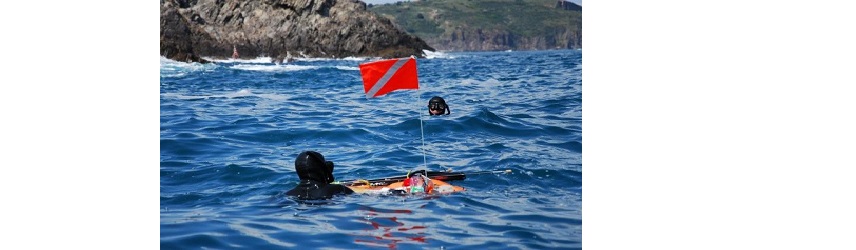 Ile de La Réunion : pêche punitive contre requin mort !