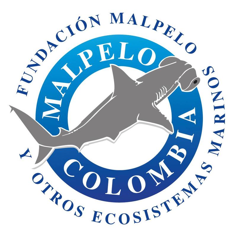 Fundación Malpelo y Otros Ecosistemas Marinos Colombia