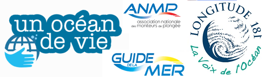 Les Guides de La Mer de l’ANMP aux côtés de Longitude 181 et d’ “Un Océan de Vie”