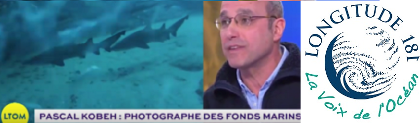 Les photographes sous-marins toujours en soutien à LONGITUDE 181