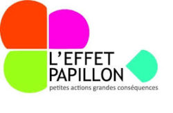 effet papillon