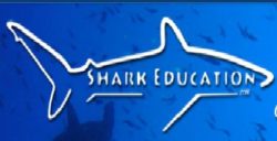 shark education