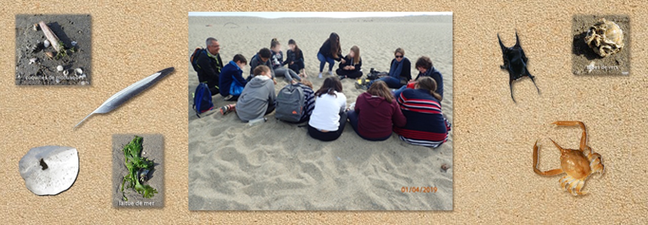 A la découverte des rivages, avec les élèves du collège d’Argelès…