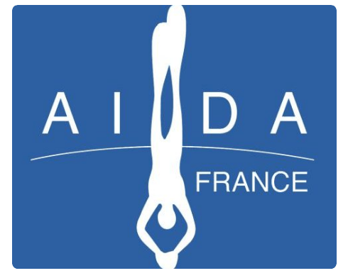 logo aida