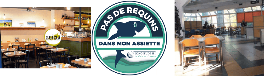 Pas de requin dans mon restaurant : de nouveaux restaurateurs s’engagent !