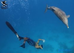 Eric DEMAY, l’homme dauphin, défenseur de l’Océan