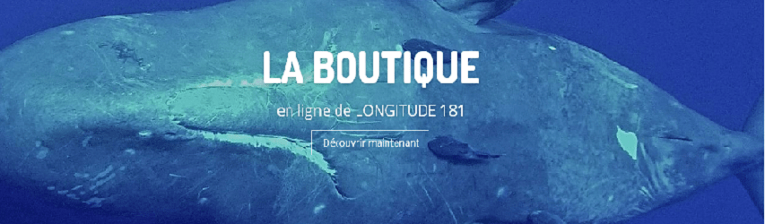 Réouverture de la boutique en ligne de Longitude 181 !