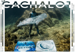 fenua cachalot Longitude