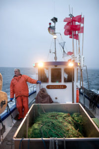 European Fish Week Photo