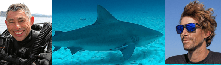 « Au nom du requin »