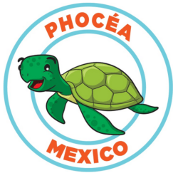 phocea