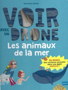 voir avec un drone recto
