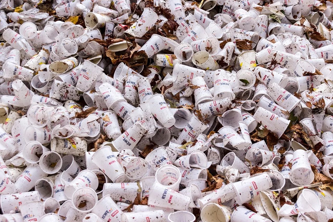 Le plastique recyclable : intox ? (rediffusion)
