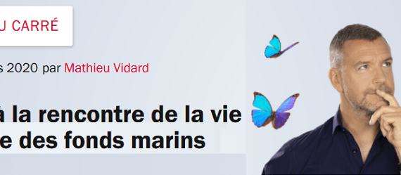 bandeau terre au carre
