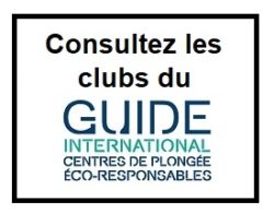 log absent pour guide