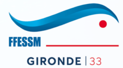 logo ffessM