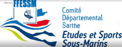 logo ffessM